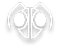 PowerAnt Logo